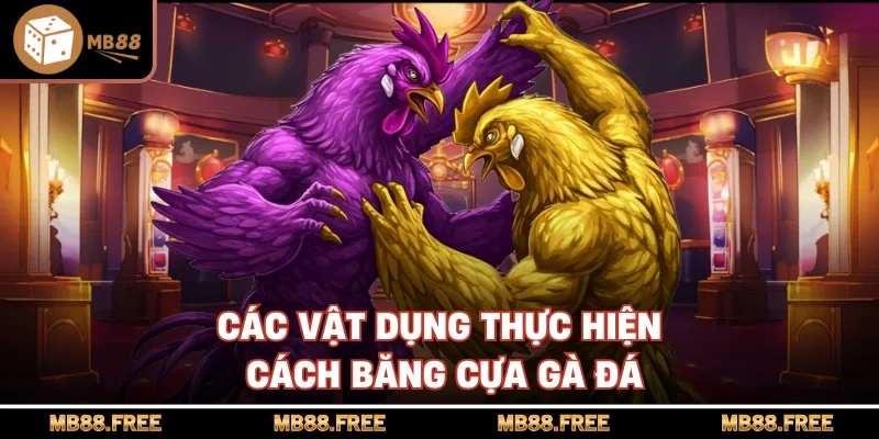 Các vật dụng thực hiện cách băng cựa gà đá