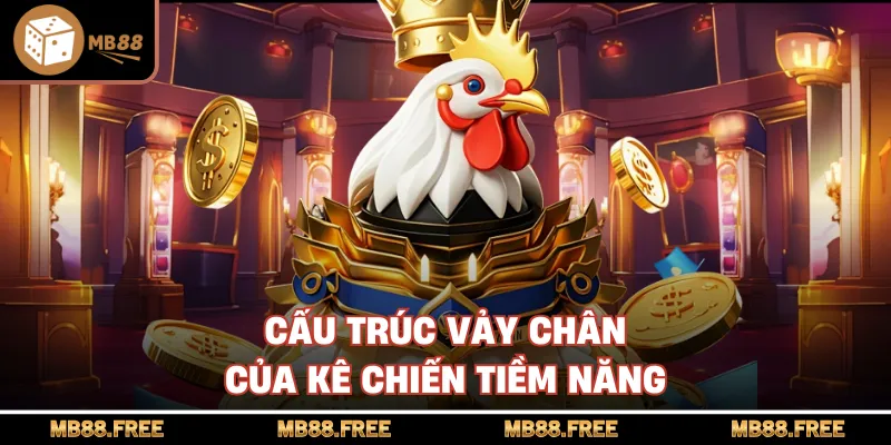 Cấu trúc vảy chân của kê chiến tiềm năng