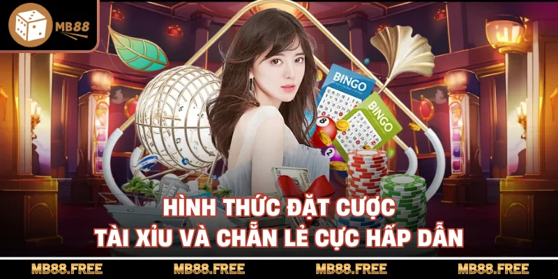 Hình thức đặt cược tài xỉu và chẵn lẻ cực hấp dẫn
