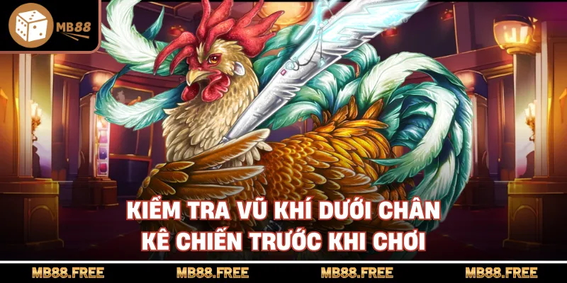 Kiểm tra vũ khí dưới chân kê chiến trước khi chơi