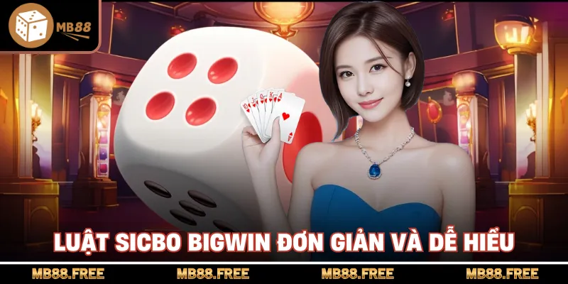 Luật sicbo bigwin đơn giản và dễ hiểu