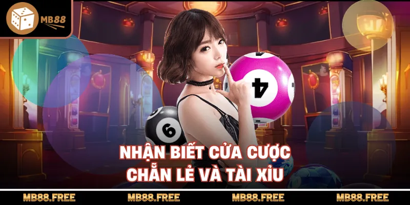 Nhận biết cửa cược chẵn lẻ và tài xỉu