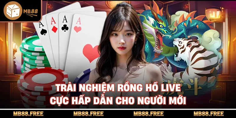 Trải nghiệm rồng hổ live cực hấp dẫn cho người mới