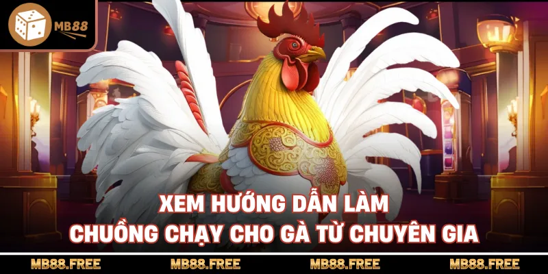 Xem hướng dẫn làm chuồng chạy cho gà từ chuyên gia