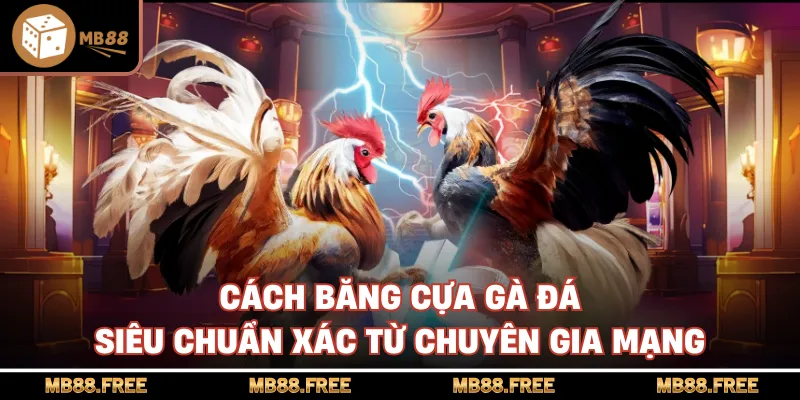 Cách Băng Cựa Gà Đá Siêu Chuẩn Xác Từ Chuyên Gia Mạng