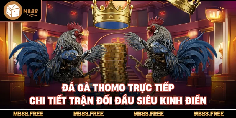 Đá Gà Thomo Trực Tiếp Chi Tiết Trận Đối Đầu Siêu Kinh Điển