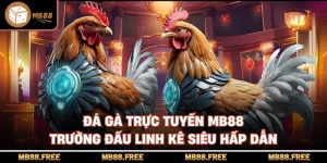 Đá Gà Trực Tuyến Mb88 Trường Đấu Linh Kê Siêu Hấp Dẫn