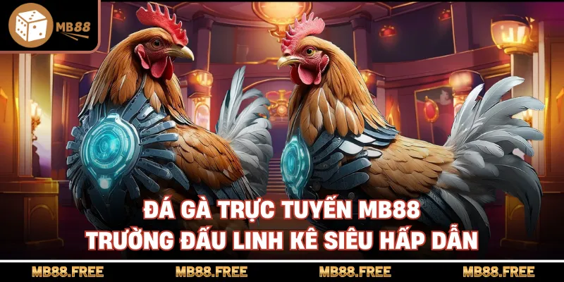 Đá Gà Trực Tuyến Mb88 Trường Đấu Linh Kê Siêu Hấp Dẫn